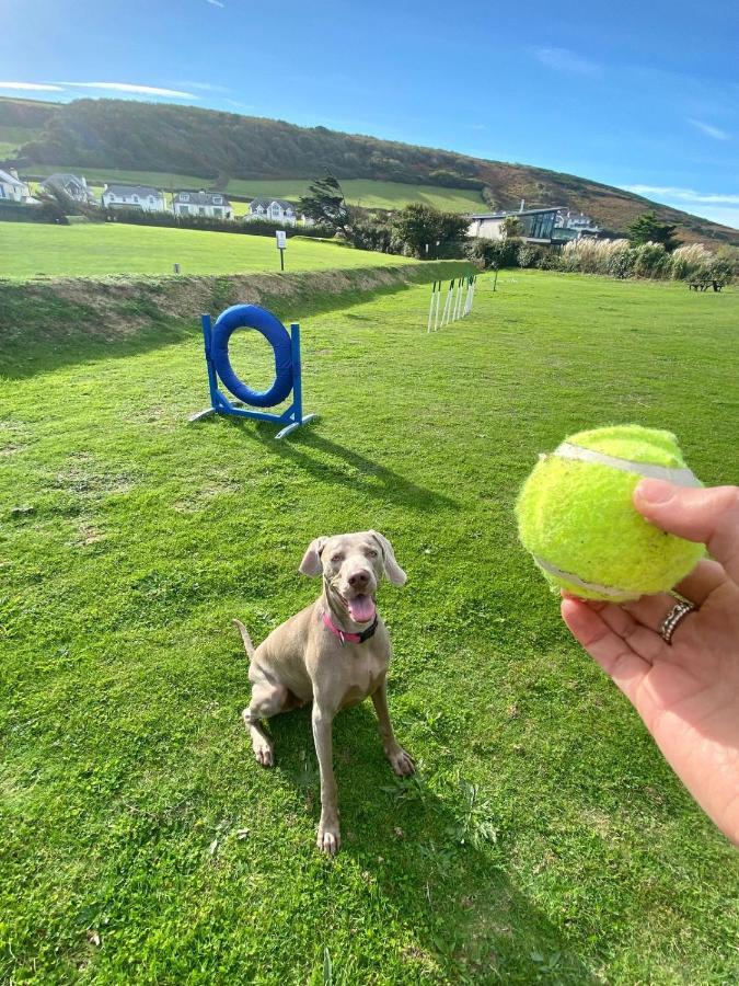 Croyde Bay Hotel Or Self Catering Eksteriør bilde