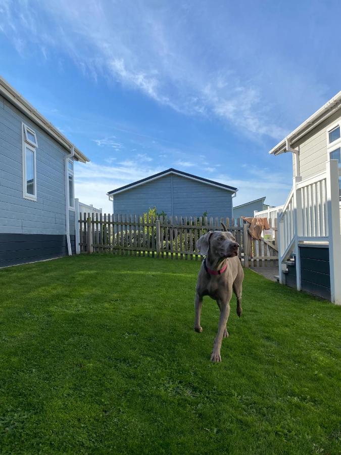 Croyde Bay Hotel Or Self Catering Eksteriør bilde